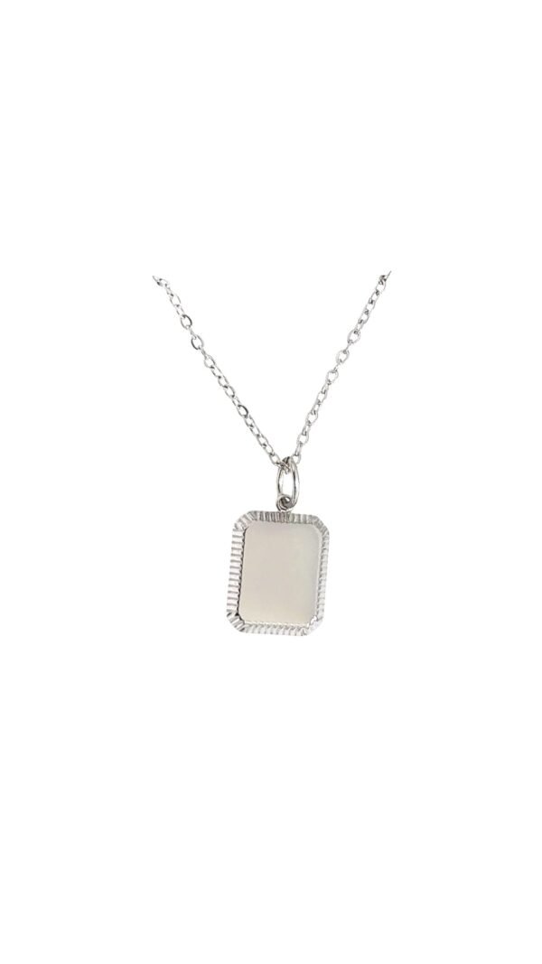 Collar Chapa Mini Silver Personalizable