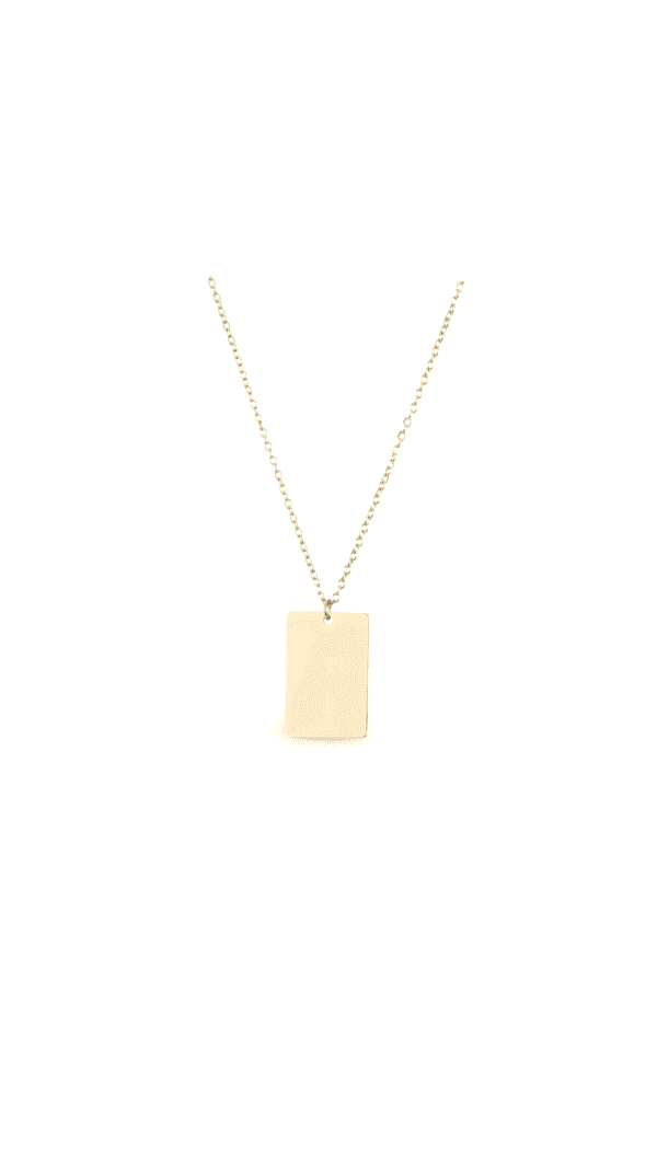 Collar Chapa Basic Personalizable