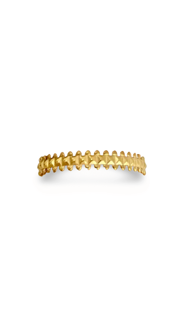 Brazalete Roma
