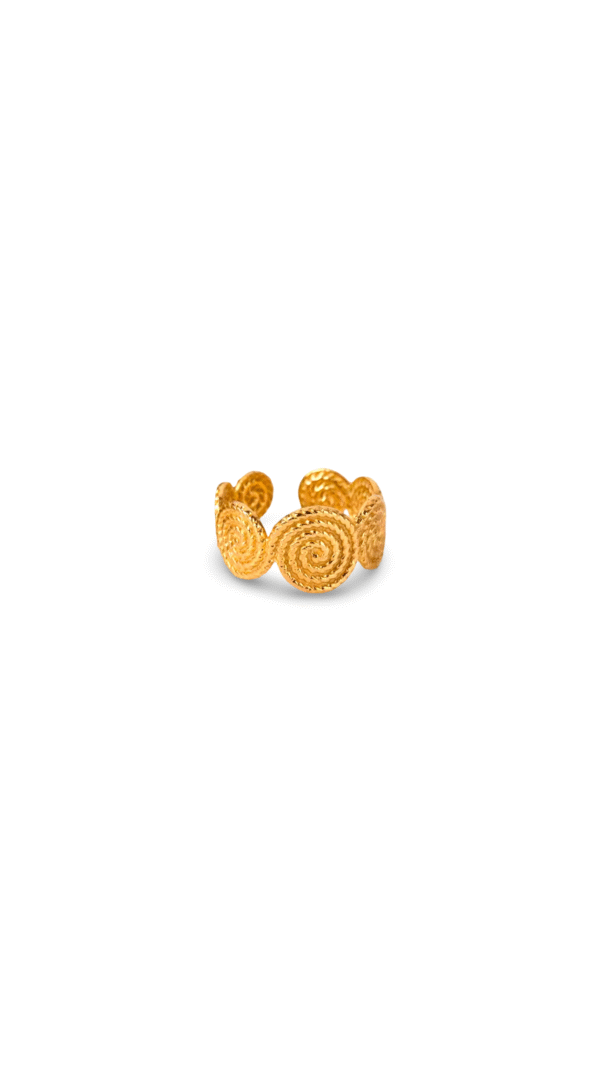 Anillo Rol