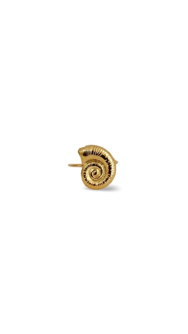Anillo Caracola Mini