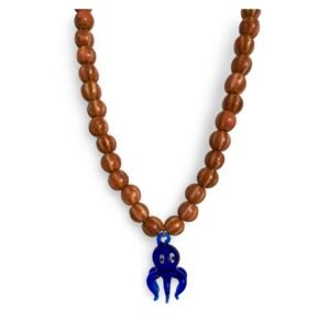 Collar Pulpito Azul y Naranja