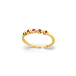 Anillo Stars Circon Fucsia Gold
