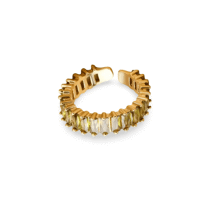 Anillo Macrocircons Kaki Gold